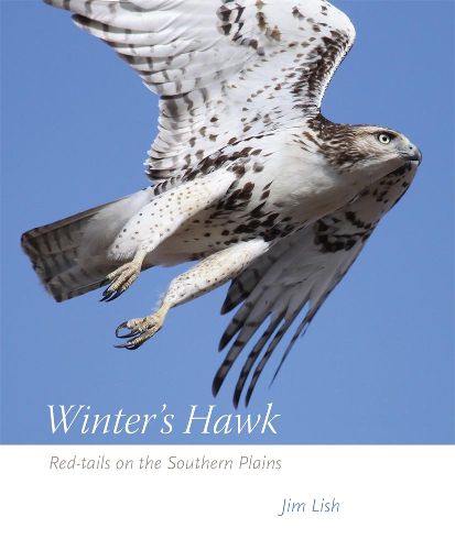 Cover image for Winter's Hawk: Red-tails on the Southern Plains