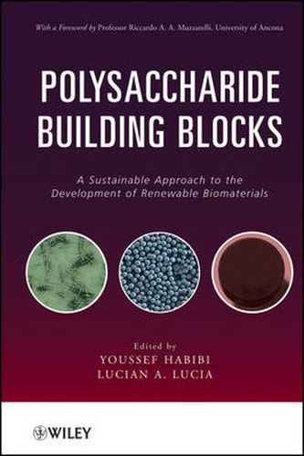 Cover image for Polysaccharide Building Blocks: A Sustainable Approach to the Development of Renewable Biomaterials