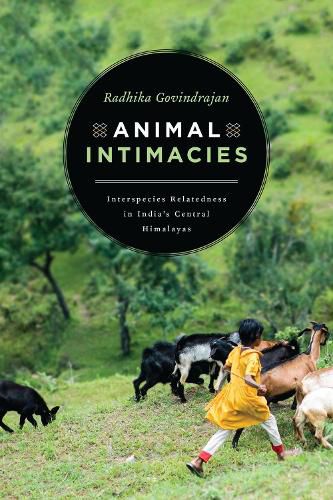 Cover image for Animal Intimacies: Interspecies Relatedness in India's Central Himalayas