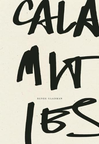 Cover image for Calamities