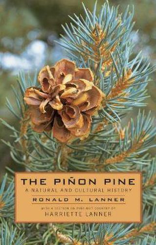 Cover image for The Pinon Pine-A Natural And Cultural History