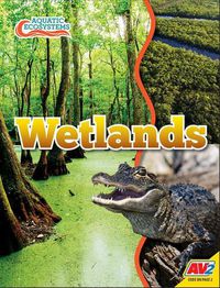 Cover image for Wetlands