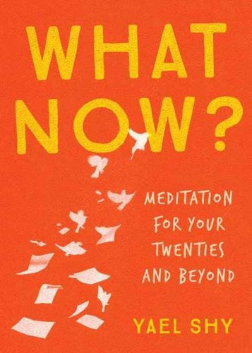 Cover image for What Now?: Meditation for Your Twenties and Beyond