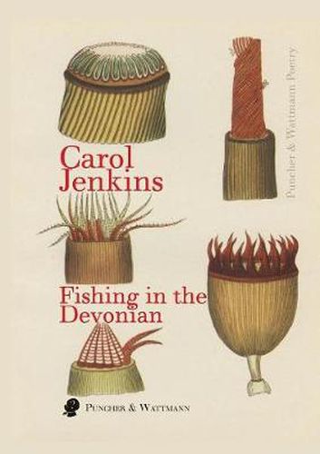 Cover image for Fishing in the Devonian