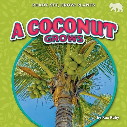 Cover image for A Coconut Grows