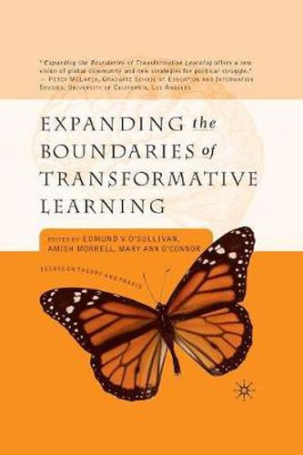 Cover image for Expanding the Boundaries of Transformative Learning: Essays on Theory and Praxis