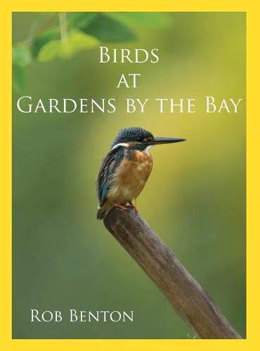 Cover image for Birds at Gardens by the Bay