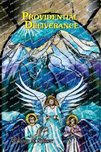 Cover image for Stories of Providential Deliverance