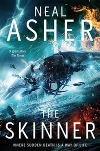 Cover image for The Skinner