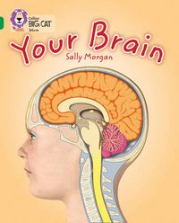 Cover image for Your Brain: Band 15/Emerald