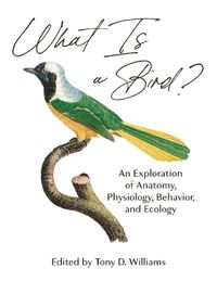Cover image for What Is a Bird?: An Exploration of Anatomy, Physiology, Behavior, and Ecology