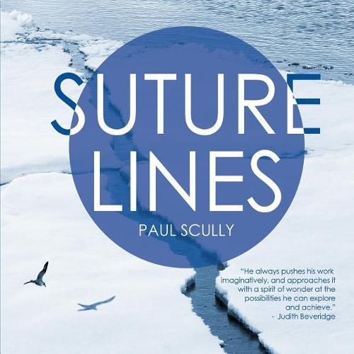 Cover image for Suture Lines