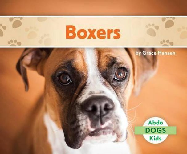 Cover image for Boxers