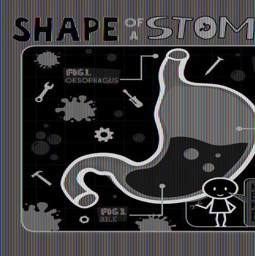 Shape of a Stomach