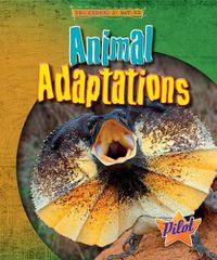 Cover image for Animal Adaptations