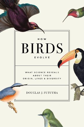Cover image for How Birds Evolve: What Science Reveals about Their Origin, Lives, and Diversity