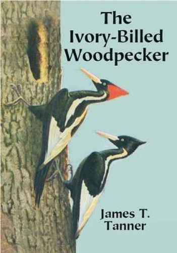 Cover image for The Ivory-Billed Woodpecker