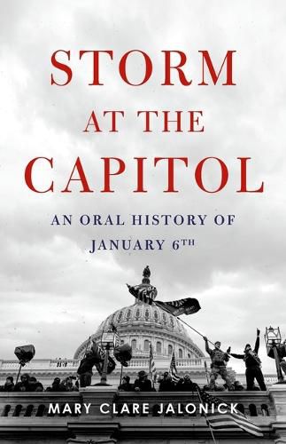 Cover image for Storm at the Capitol