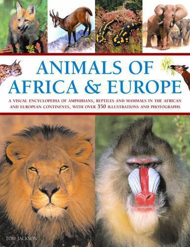 Animals of Africa and Europe