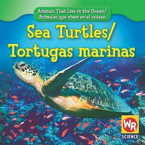 Sea Turtles / Tortugas Marinas