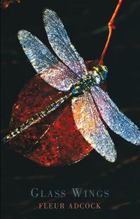 Cover image for Glass Wings