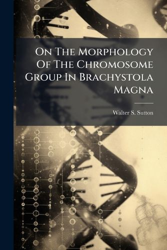 Cover image for On The Morphology Of The Chromosome Group In Brachystola Magna