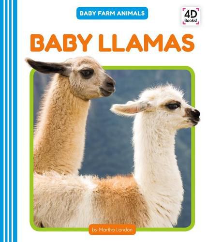 Baby Llamas