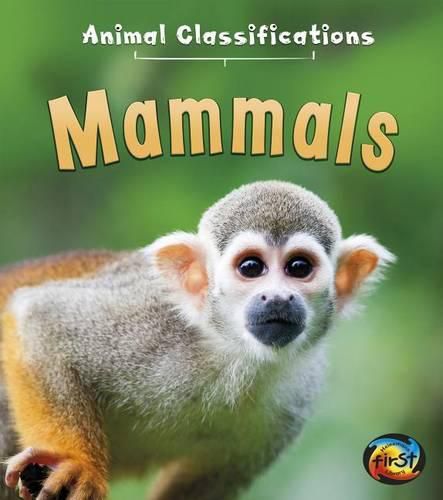 Cover image for Mammals (Animal Classifications)