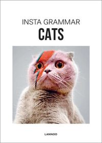 Cover image for Insta Grammar: Cats