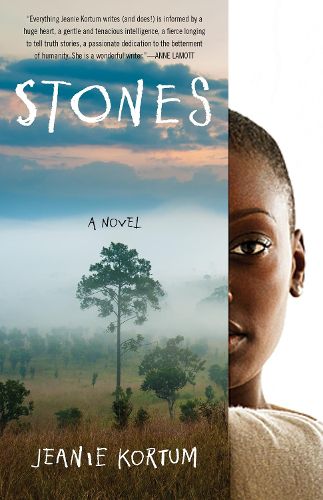 Cover image for Stones: A Novel