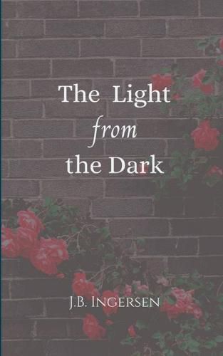 Cover image for The Light From the Dark