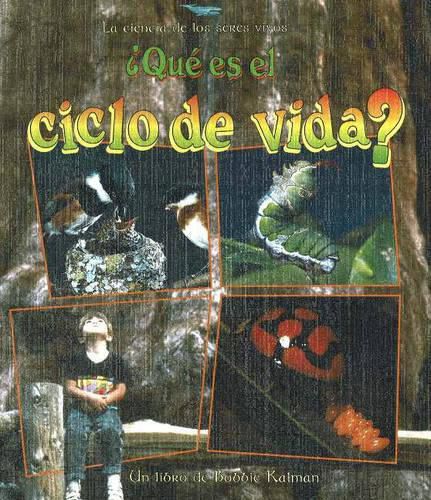 Cover image for Que es el Ciclo de Vida?