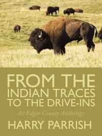 Cover image for From the Indian Traces to the Drive-Ins