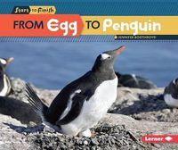 Cover image for From Egg to Penguin