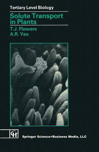 Cover image for Solute Transport in Plants