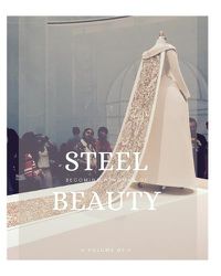 Cover image for Steel Beauty Volume 01