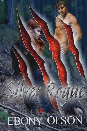 Cover image for Silver Rogue