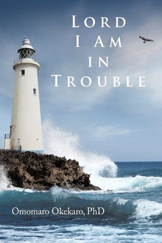 Cover image for Lord I Am in Trouble