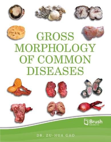 Cover image for Gross Morphology of Common Diseases