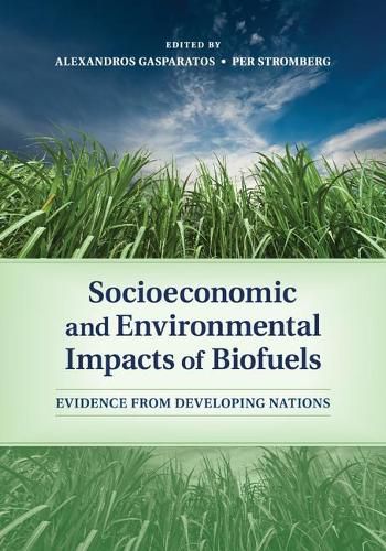Cover image for Socioeconomic and Environmental Impacts of Biofuels: Evidence from Developing Nations