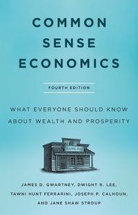 Cover image for Common Sense Economics