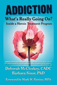 Cover image for Addiction--What's Really Going On?: Inside a Heroin Treatment Program