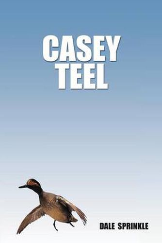 Cover image for Casey Teel