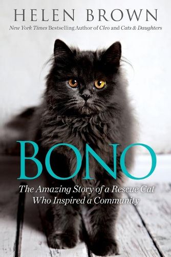 Cover image for Bono: The Amazing Story of a Rescue Cat Who Inspired a Community