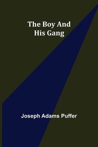 Cover image for The Boy and His Gang
