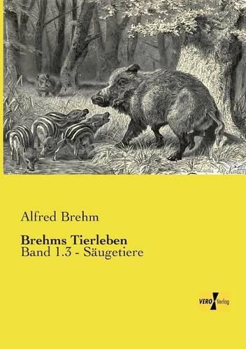 Cover image for Brehms Tierleben: Band 1.3 - Saugetiere