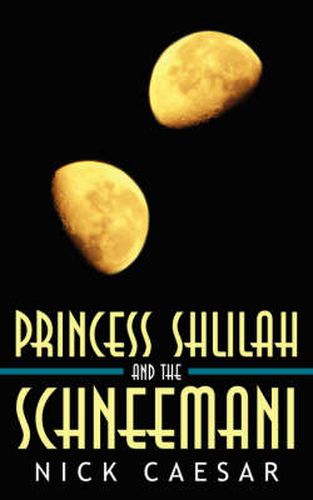 Cover image for Princess Shlilah and the Schneemani