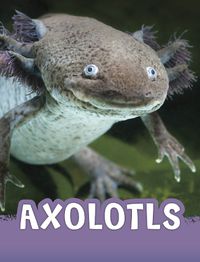 Cover image for Axolotls