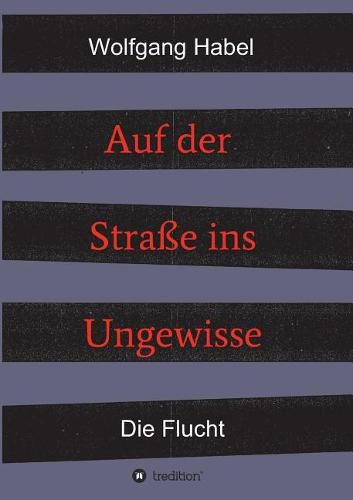 Cover image for Auf der Strasse ins Ungewisse