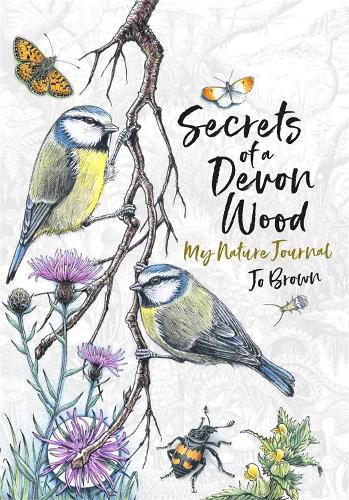 Cover image for Secrets of a Devon Wood: My Nature Journal